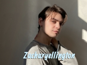 zacharyellington Gay Sex Prev