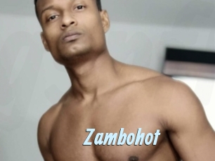 zambohot Gay Sex Prev